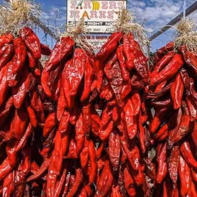 Hatch chile ristras hanging up at Farmers Chile Market