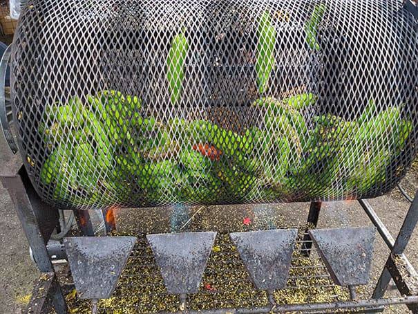 A chile roaster roasting Hatch chile in Albuquerque, New Mexico