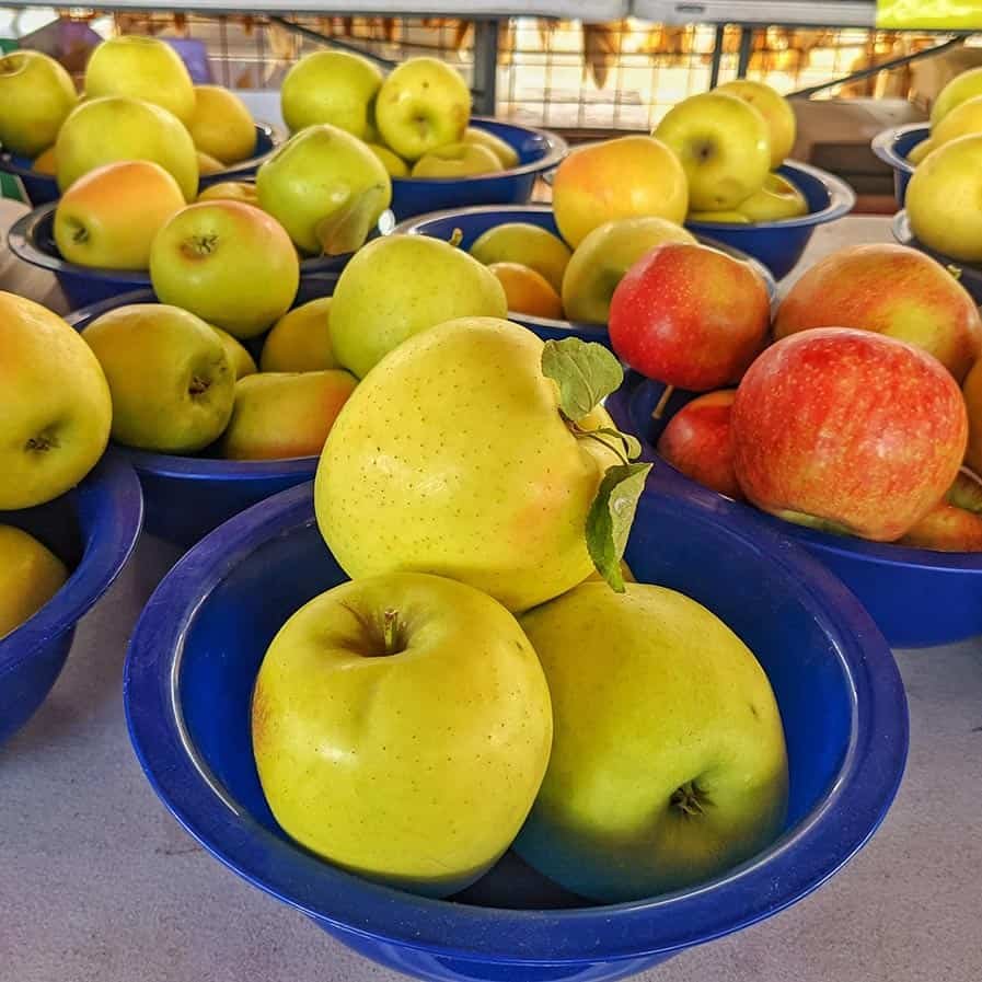 Local New Mexico apples