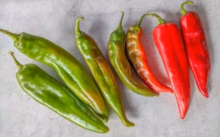 Many different varieties of New Mexico chile