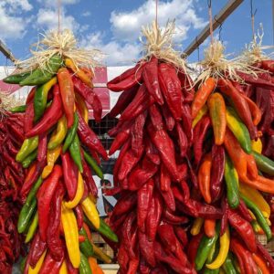 Beautiful muticolored hatch chile ristras