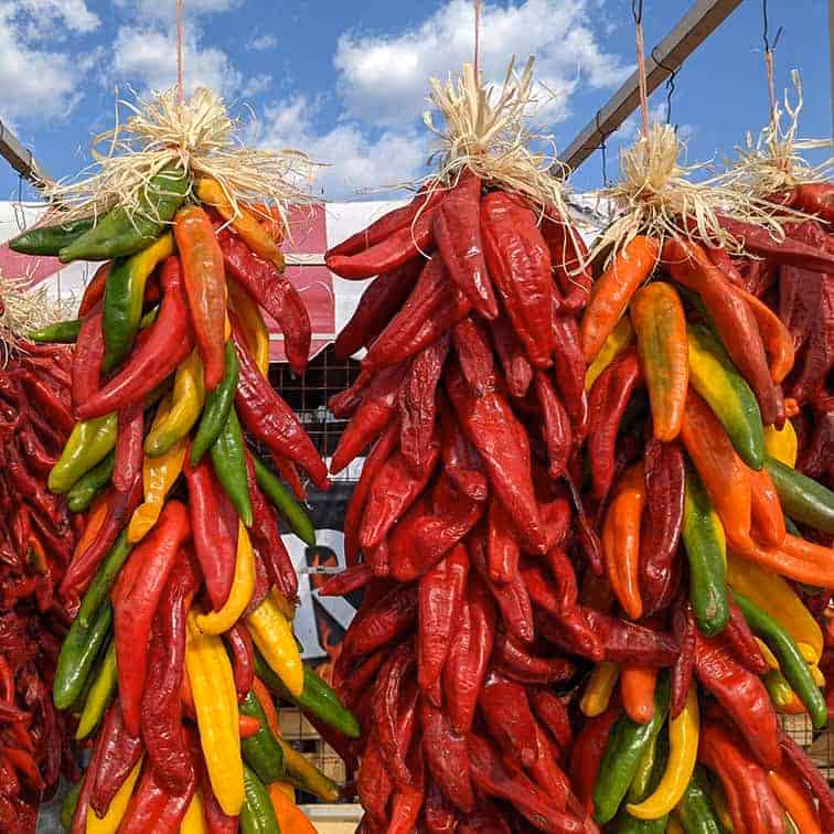 Beautiful muticolored hatch chile ristras