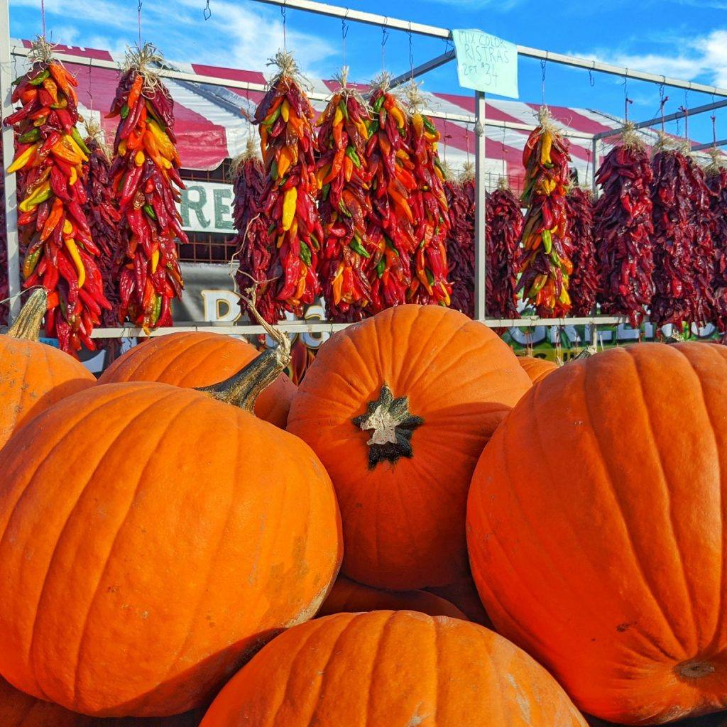 New Mexico pumpkins and red chile ristras at Farmers Chile Market in Albuquerque