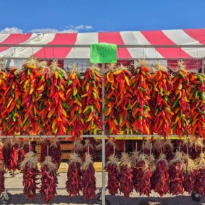 Many different ristras in fron of our popup tent