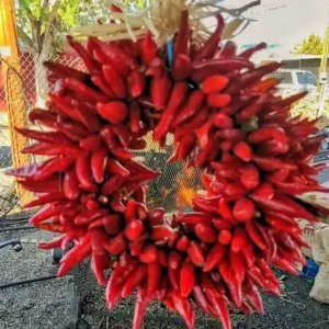 A pequin chile wreath in front of a chile roaster