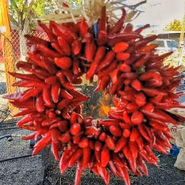 a pequing chile ristra wreath in front of a chile roaster charring Hatch green chile