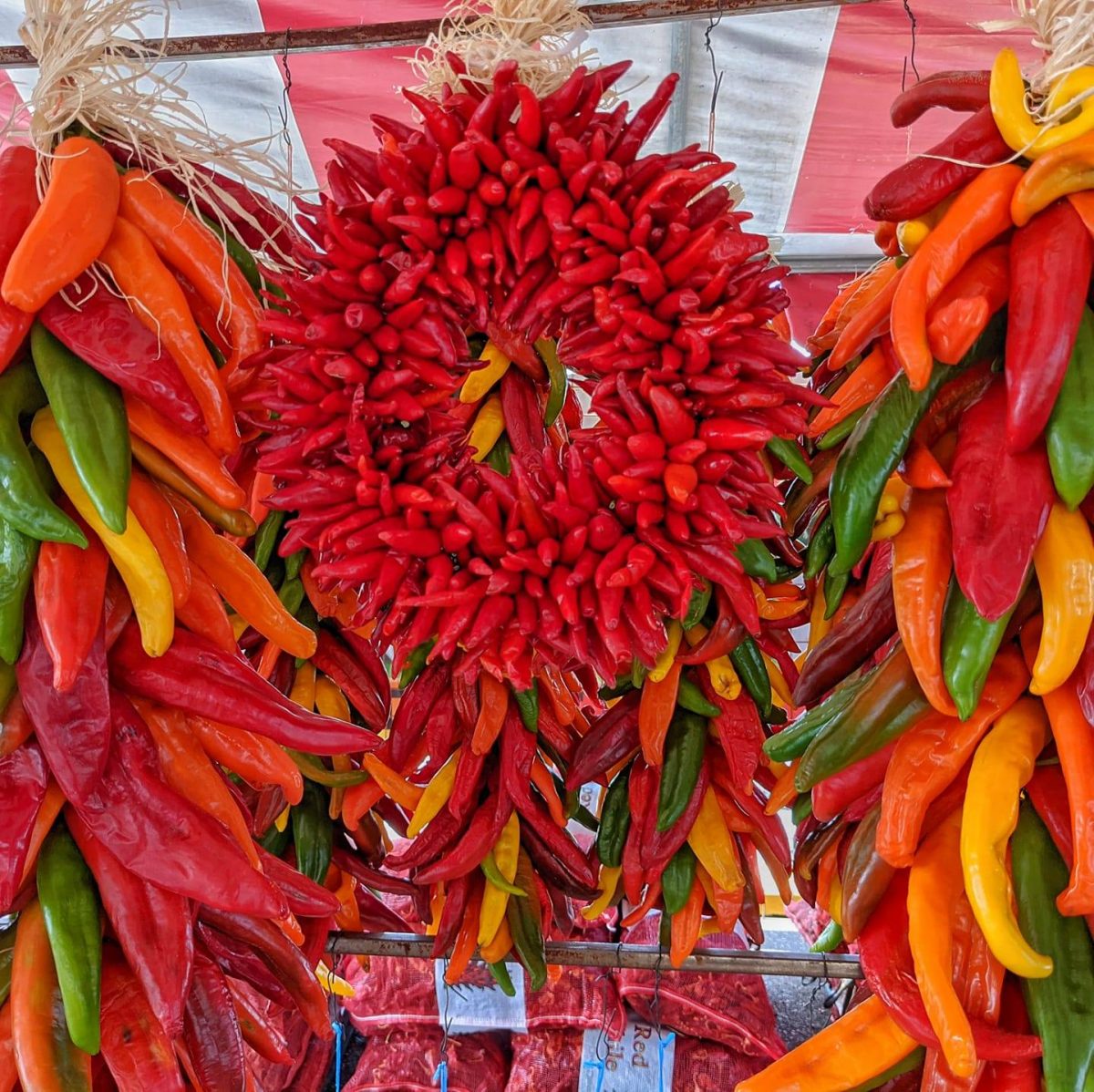 Pequin chile wreath next to multicolored Hatch chile ristras at Farmers Chile Market in Albuquerque