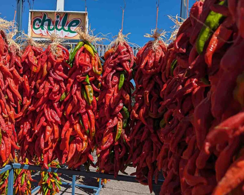 2 foot red chile ristras in front of Farmers Chile market-2 Hatch Chile Starter Kit