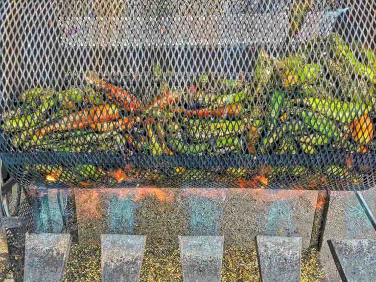 Red and green New Mexico chile roasting in Albuquerque