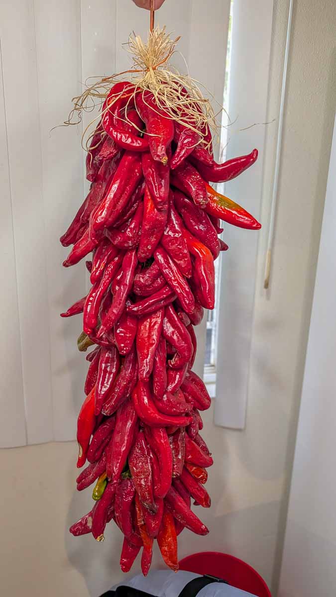 two foot Hatch red chile ristra held by hand