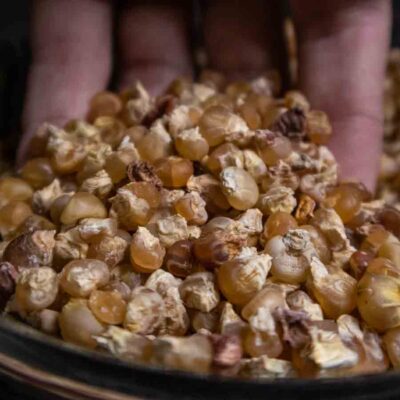 New Mexico chicos del horno at Farmers Chile Market in Albuquerque