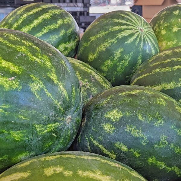 Watermelons from Hatch, New Mexico