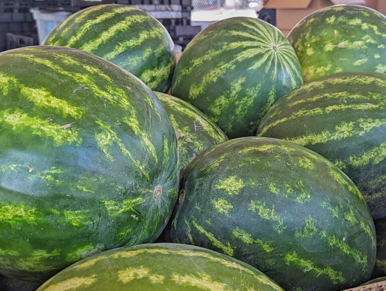 Watermelons from Hatch, New Mexico