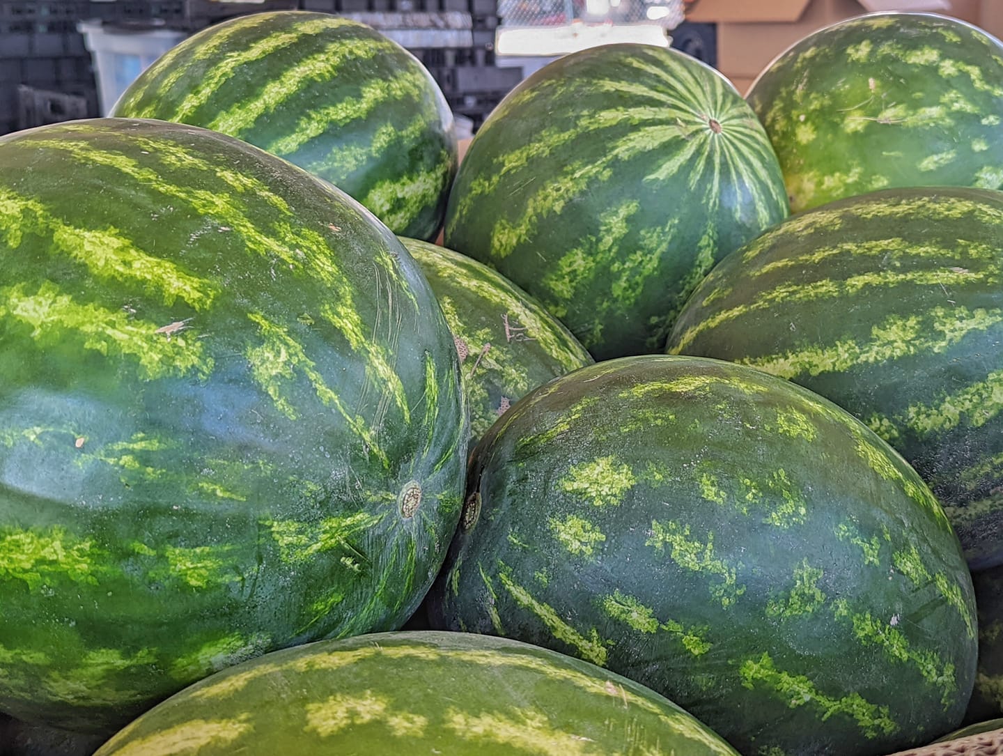 Local New Mexico melons have arrived