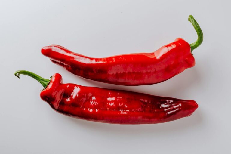 red chili pepper on white background