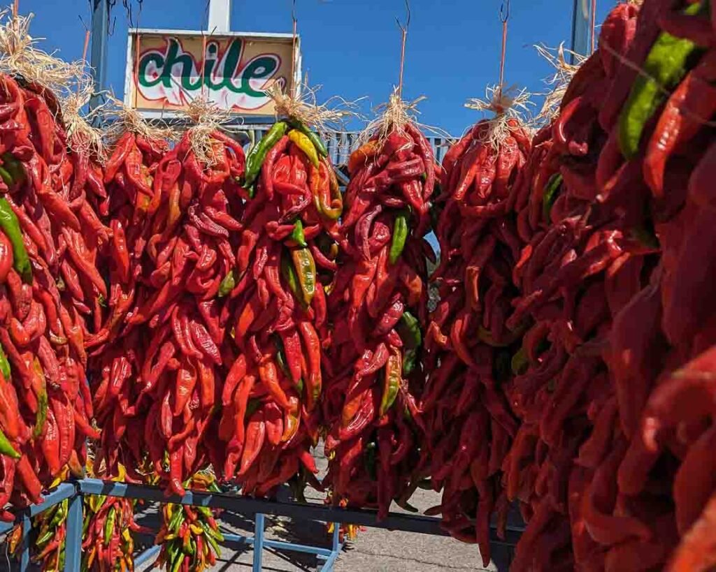 A group of 2 foot red chile ristras in front of Farmers Chile Market "chile" graffiti sign