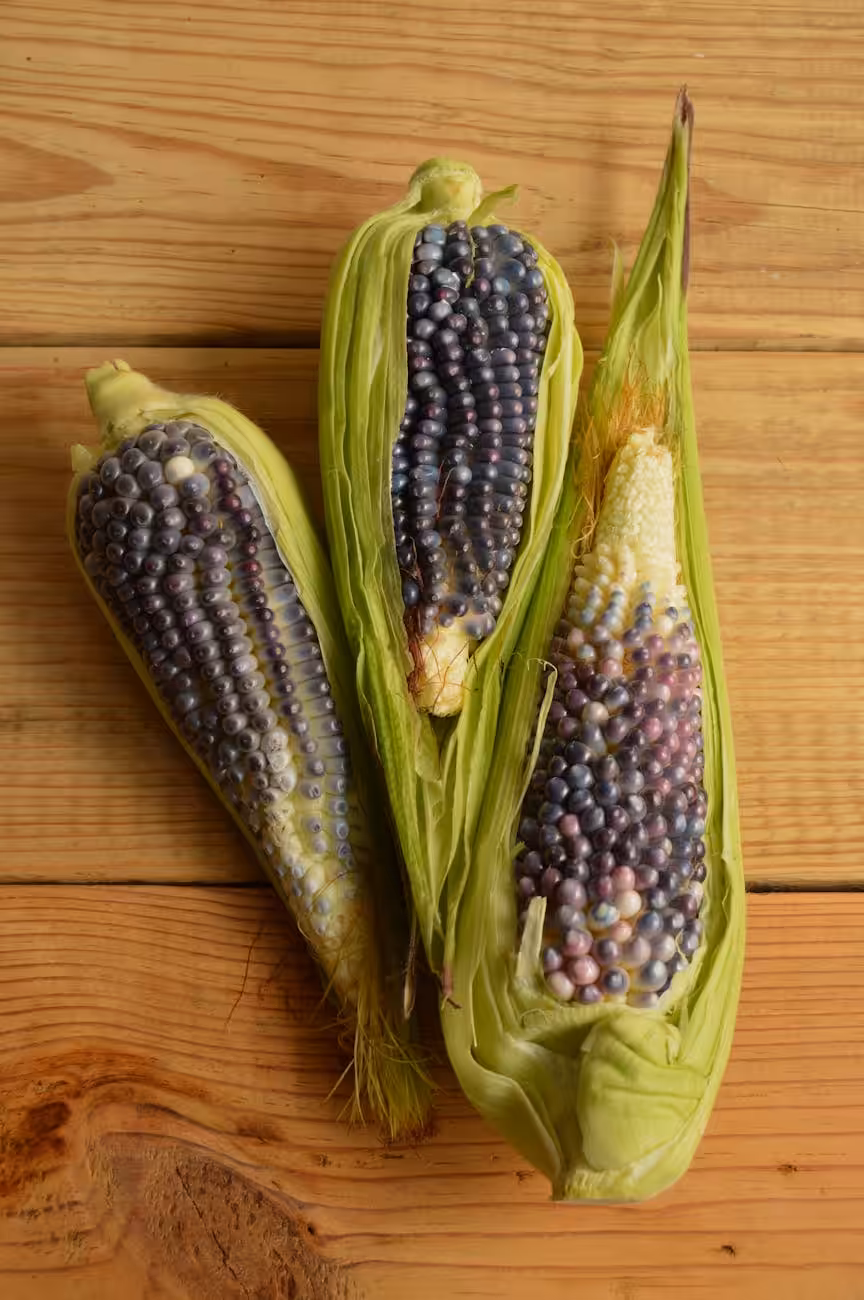 Blue Corn
