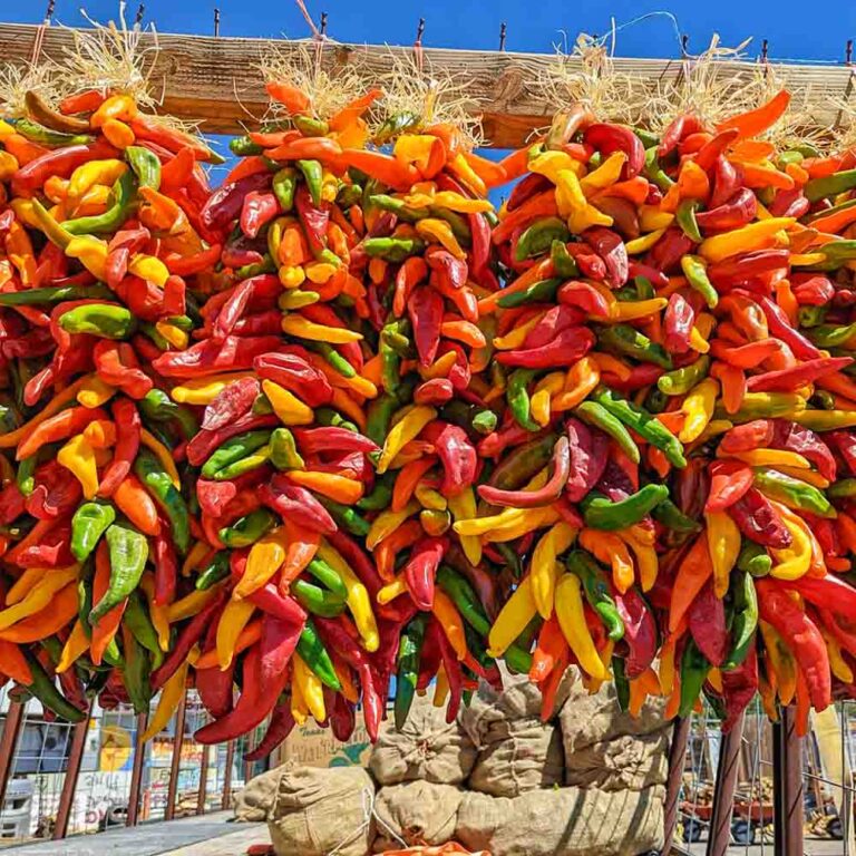 All About Chile Ristras - Farmers Chile Market