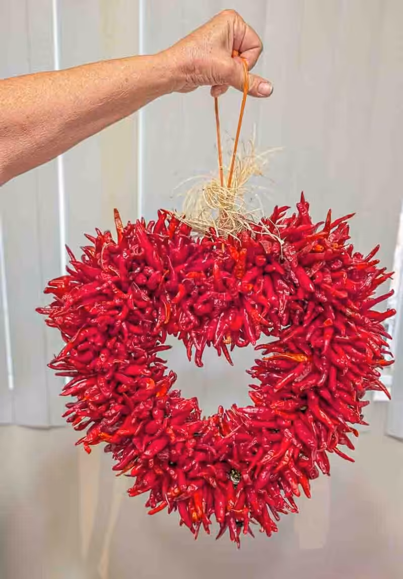 a hatch red chile pequin ristra heart a hatch red chile pequin ristra heart being held by hand