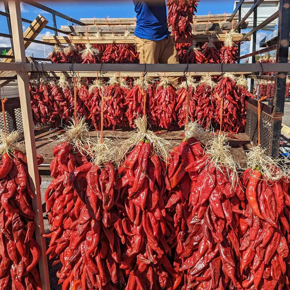 1 and 2 foot chile ristas coming off a truck from Hatch, New Mexico at Farmers Chile Market in ABQ