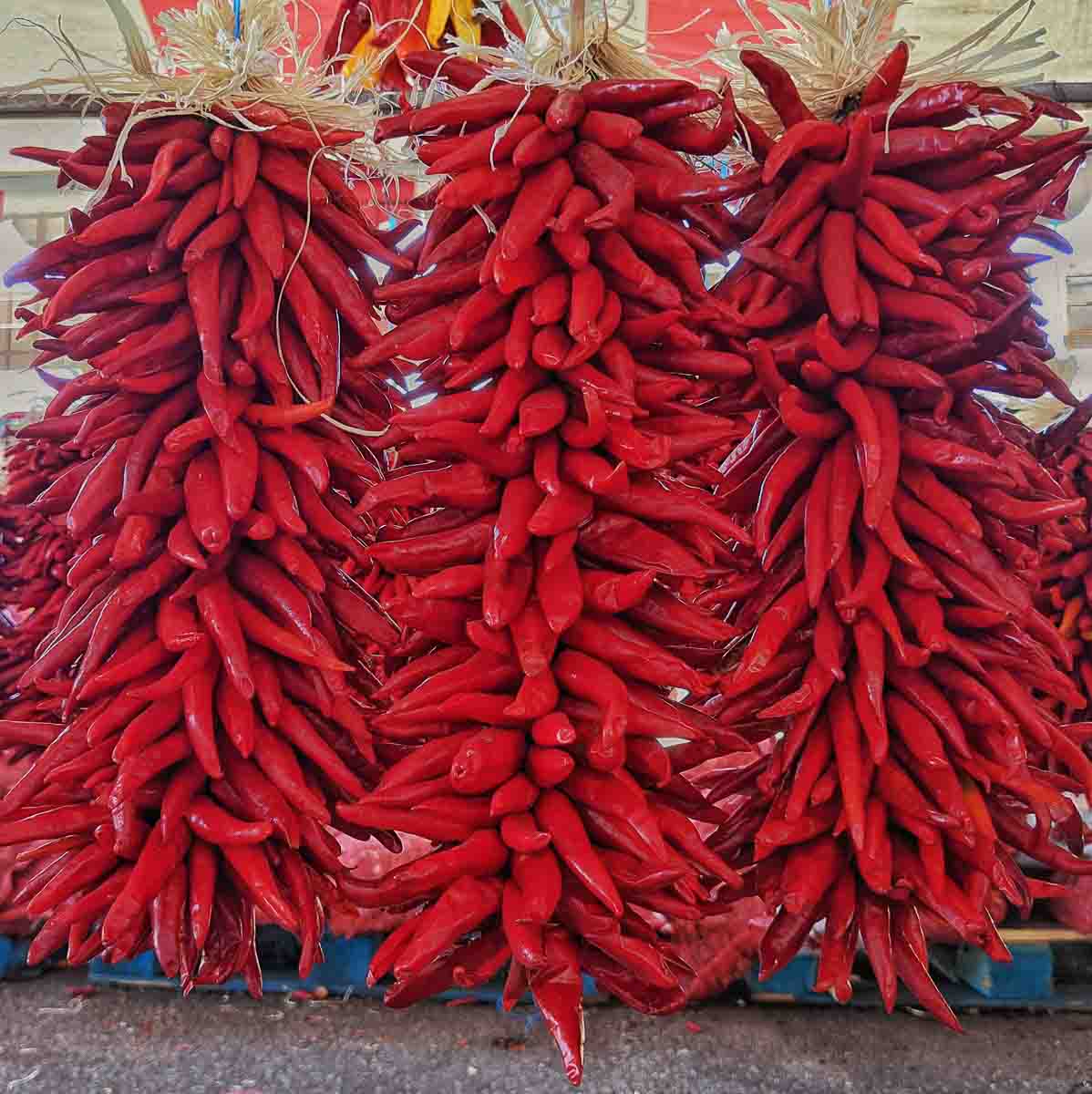 3 pequin chile ristras at Farmers Chile Market