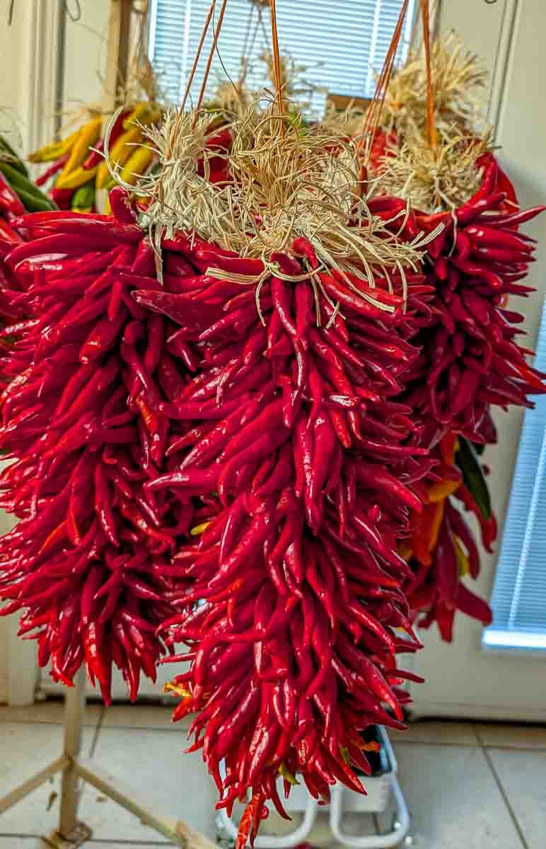 some fresh one foot Hatch pequin chile ristras