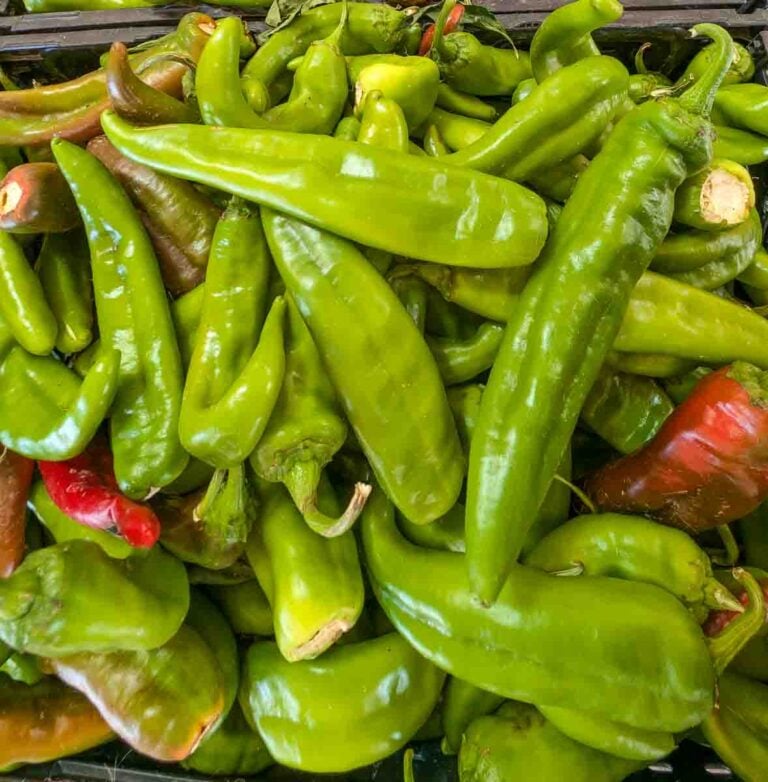 lots of fresh Hatch green chile waiting to be roasted!