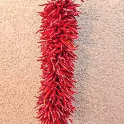 a 2 ft hatch pequin chile ristra in front of New Mexican adobe building