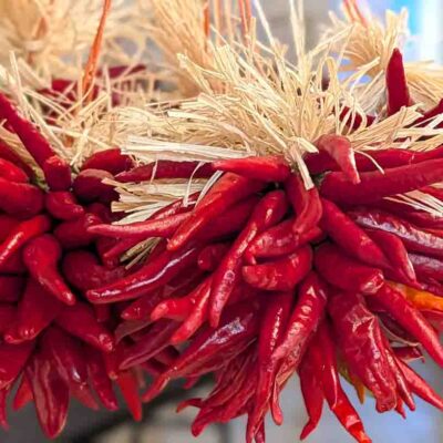 3 inch Hatch red chile ristra 3 inch Pequin Chile Ristra
