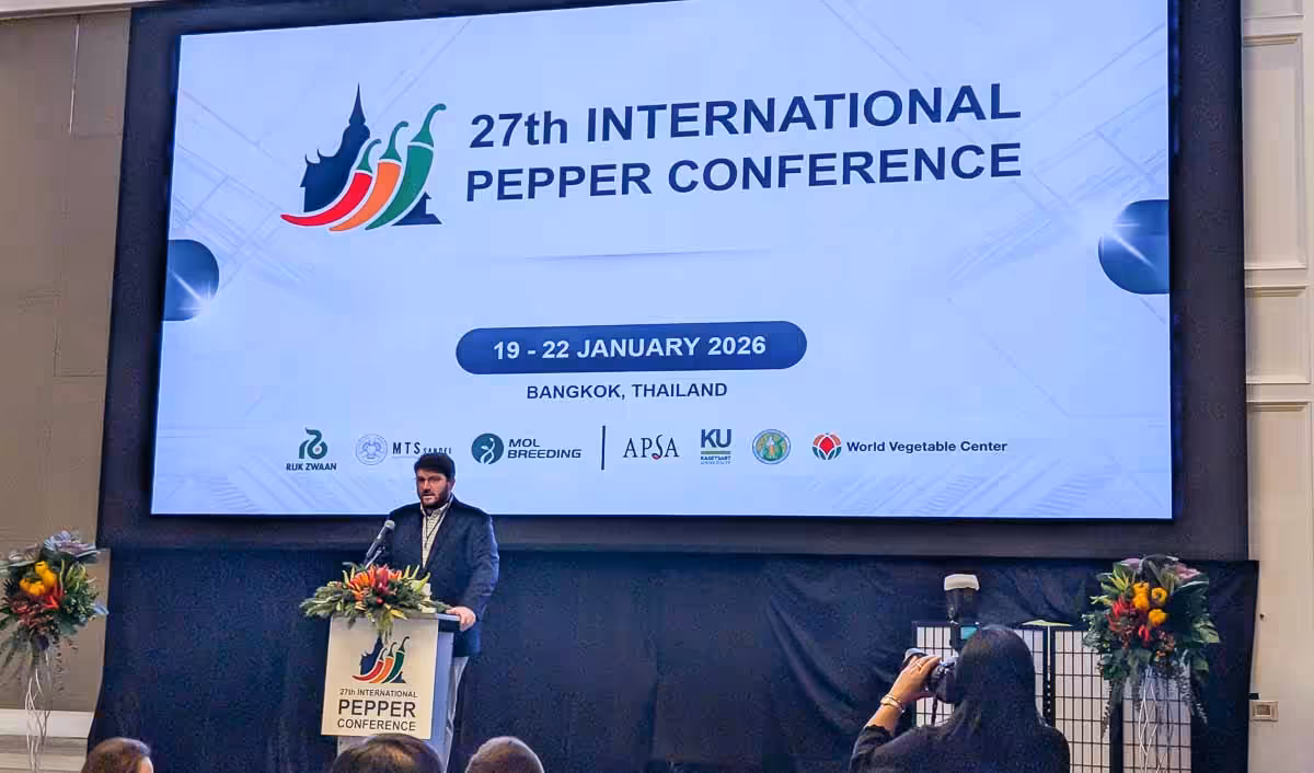 The International Pepper Conference
